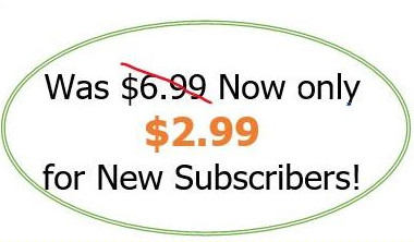 TravelBookSubscriberPrice2